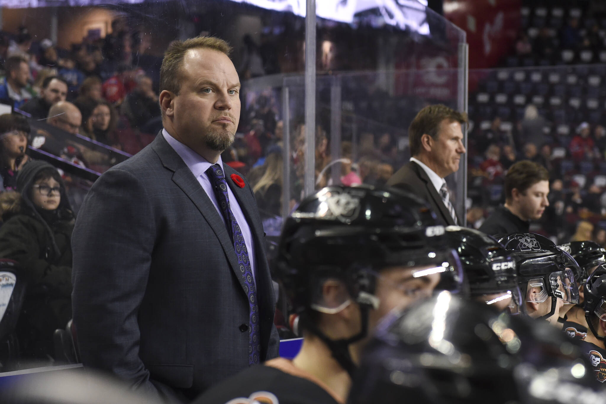 The Everett Silvertips have hired Steve Hamilton as the team’s new head coach. (Candice Ward / Calgary Hitmen)