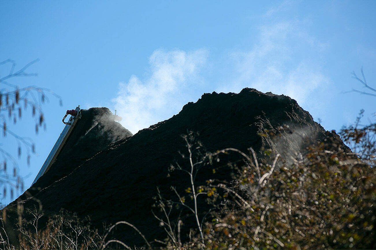 Steam rises from a pile of “hog fuel,” leftover processed wood bits, as a conveyor belt adds to the pile neighbors gather to complain about United Recycling and Containers on Tuesday, March 5, 2024, in Snohomish, Washington. (Ryan Berry / The Herald)