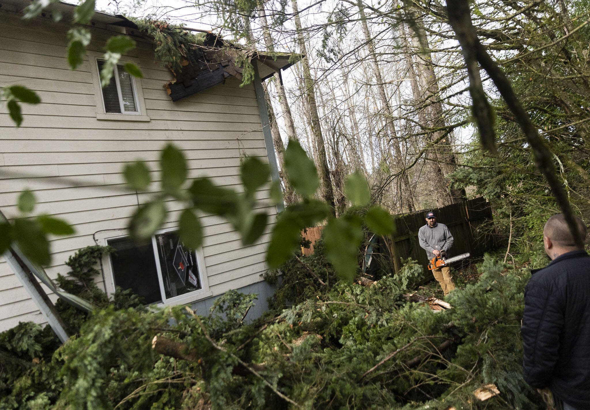 Scott Peterson works to clear a tree that fell on the roof of Shawn Hawes’ apartment on Wednesday, Nov. 20, 2024 in Lake Stevens, Washington. (Olivia Vanni / The Herald)