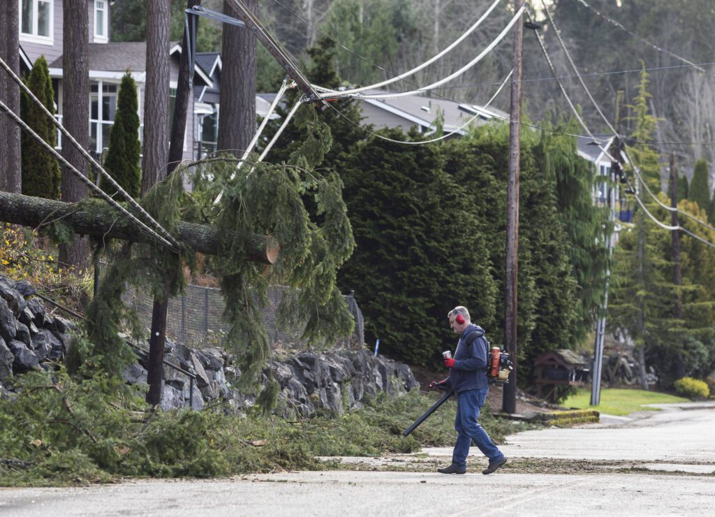 Rich Bardue holds a coffee while he uses his leaf blower to clear debris from a downed tree off of South Lake Stevens Road on Wednesday, Nov. 20, 2024 in Lake Stevens, Washington. (Olivia Vanni / The Herald)
