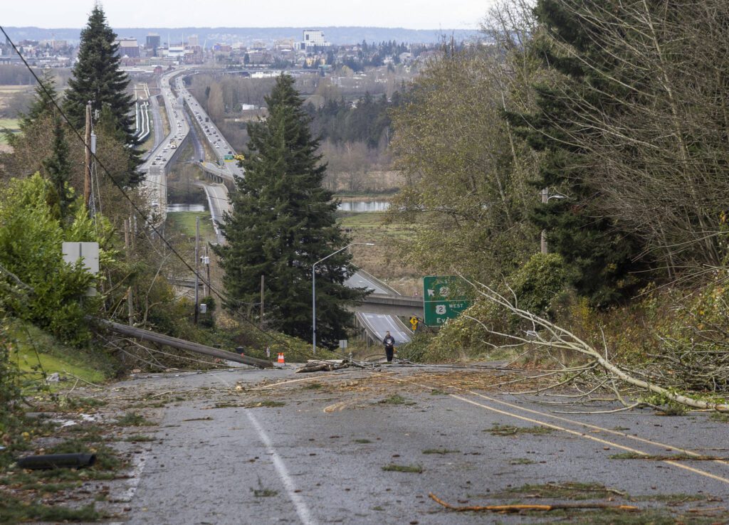 A person walks up 20th Street SE to look at the damage that closed the road on Wednesday, Nov. 20, 2024 in Lake Stevens, Washington. (Olivia Vanni / The Herald)
