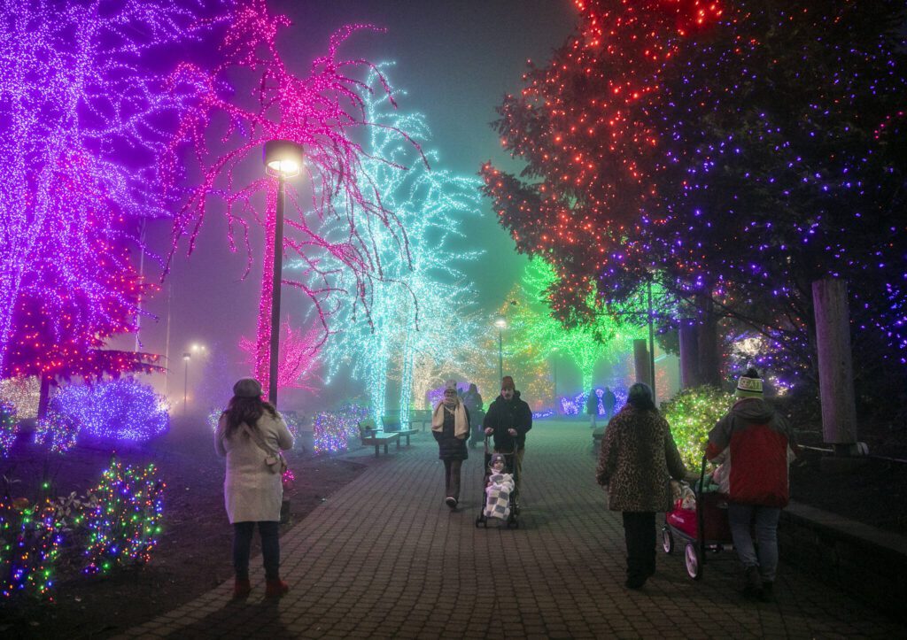 People walk abound the Tulalip Amphitheatre to look at the colorful lights on display for Tulalip Lights & Ice on Wednesday, Dec. 4, 2024 in Tulalip, Washington. (Olivia Vanni / The Herald)
